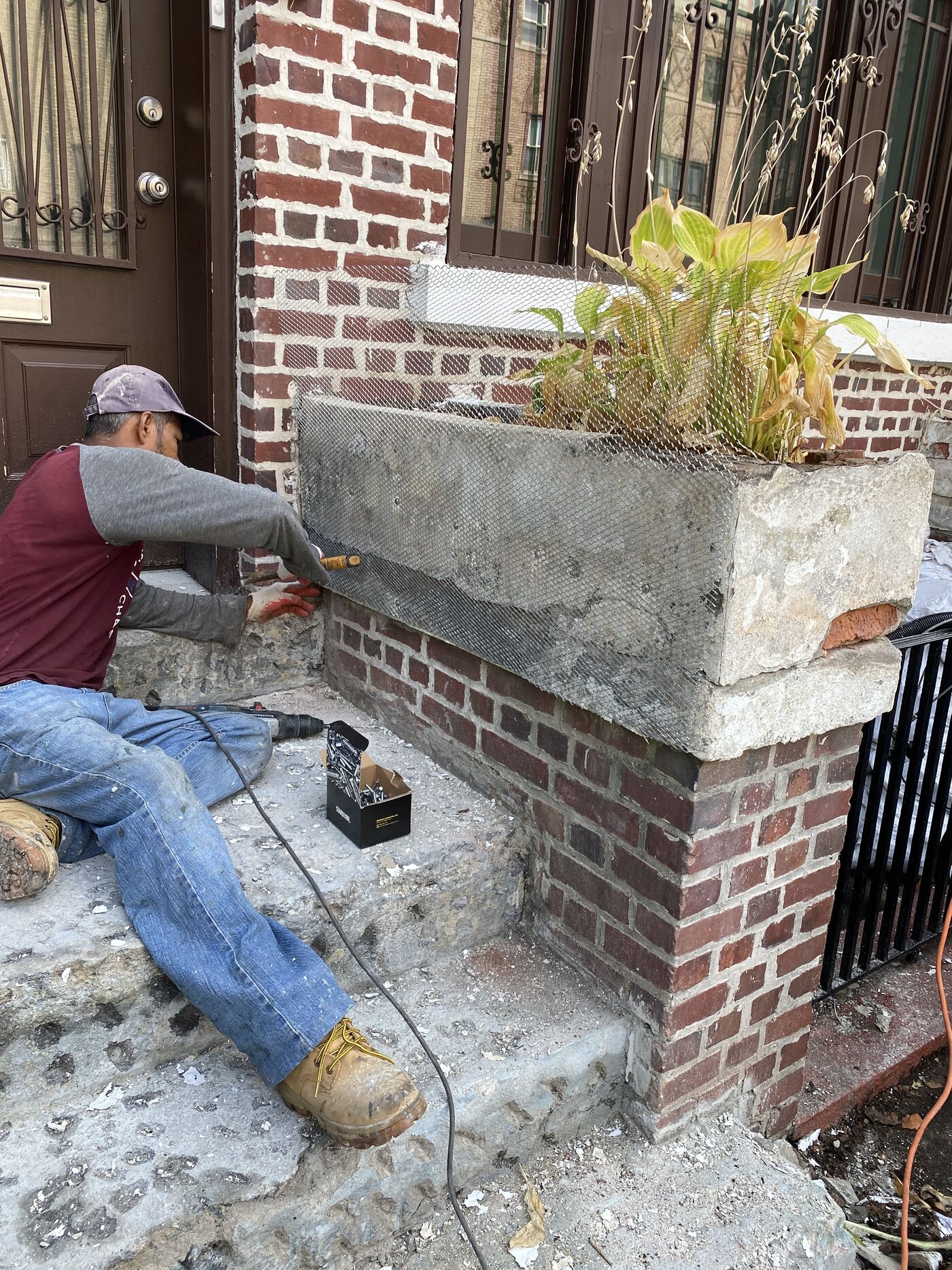 Landmark stoop and cornice at 257 Brooklyn Avenue, Crown Heights